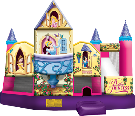 Disney Princess 3D
