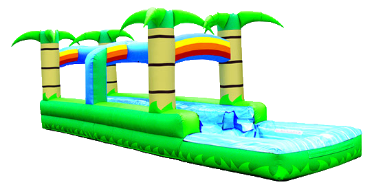 Tropical 2 lane water slide